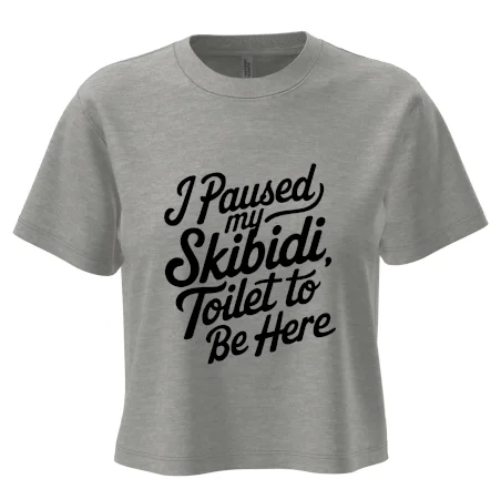 I Paused My Skibidi Toilet to be Here
