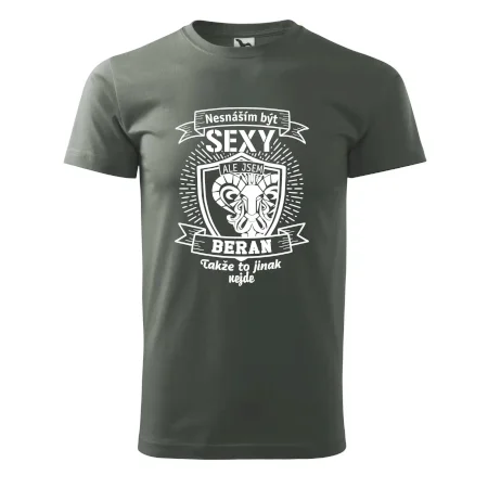 Nesnáším být tak skvělý - Beran