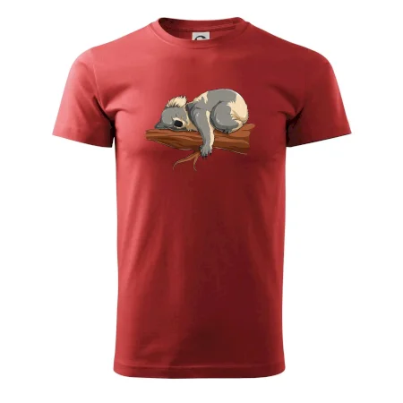 Koala na větvi