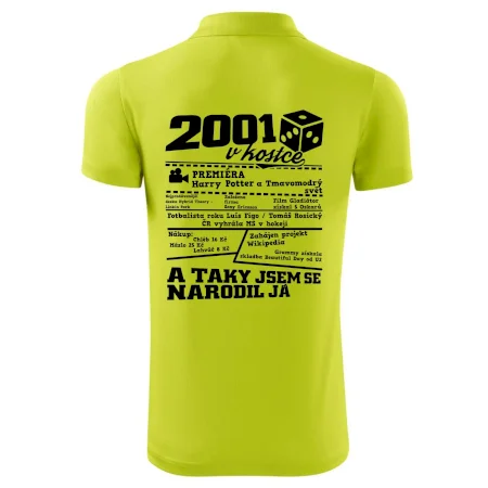 2001 v kostce