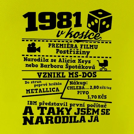1981 v kostce