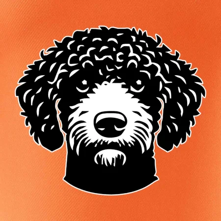 Lagotto romagnolo hlava na prsu