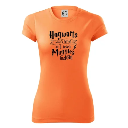 Harry - Hogwarts wasn’t hiring, so I teach Muggles instead