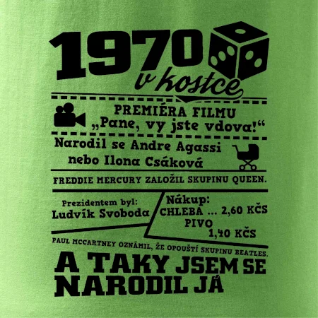 1970 v kostce