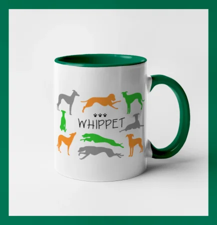 Whippet barevný