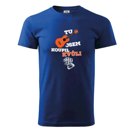 Tu kytaru jsem koupil kvůli tobě