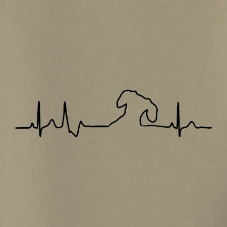Jezevčík EKG