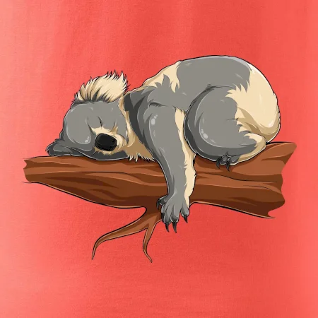 Koala na větvi