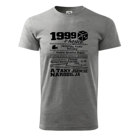 1999 v kostce