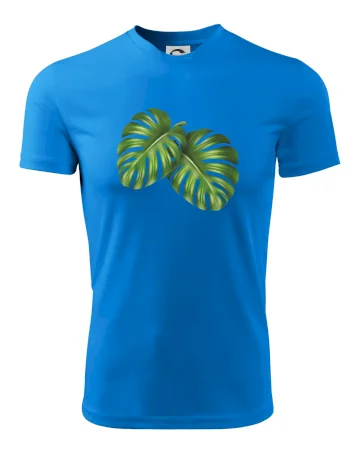 Monstera - dva listy