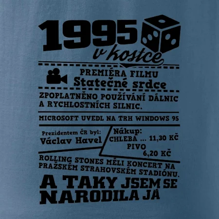 1995 v kostce