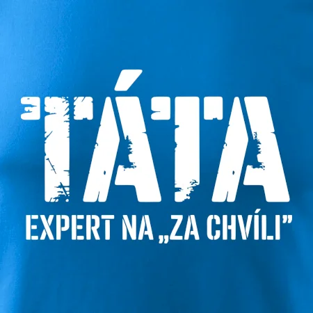 Táta - expert na za chvíli