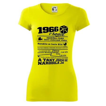 1966 v kostce