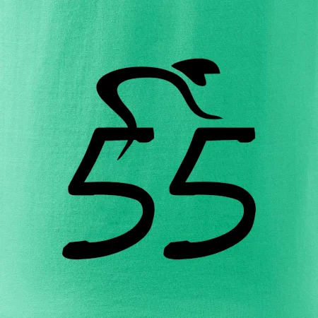 Cyklista slaví pětapadesátku (55)