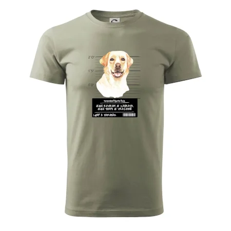 Lump a darebák labrador
