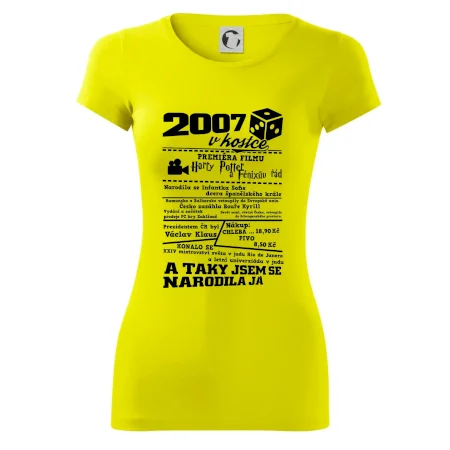 2007 v kostce