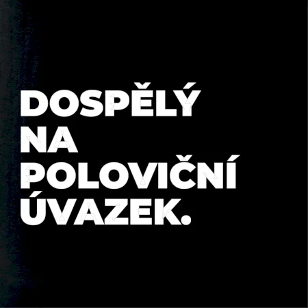 DOSPĚLÝ NA POLOVIČNÍ ÚVAZEK.