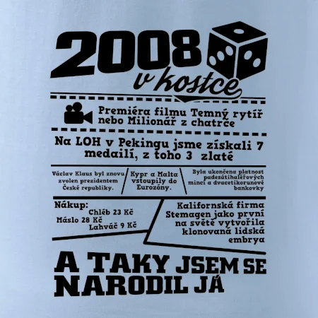 2008 v kostce