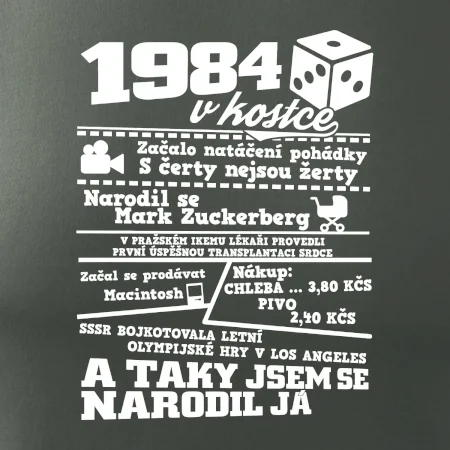1984 v kostce