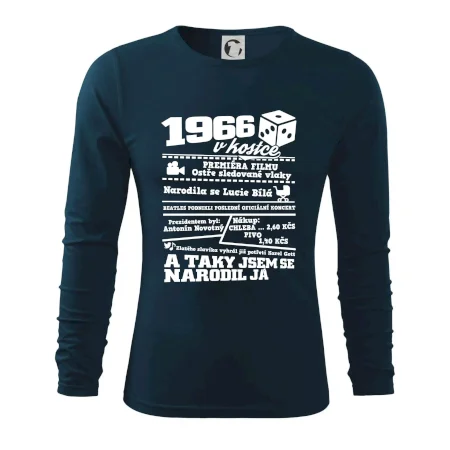 1966 v kostce