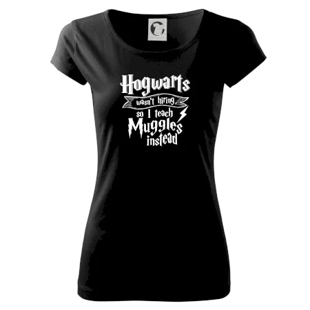 Harry - Hogwarts wasn’t hiring, so I teach Muggles instead