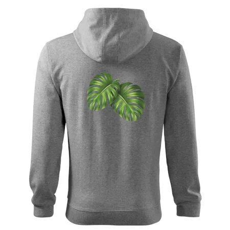 Monstera - dva listy