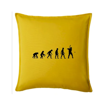 Evoluce baseball pálkař nápřah + míček