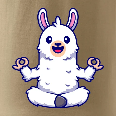 Yoga meditace - lama