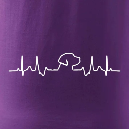 Labrador EKG