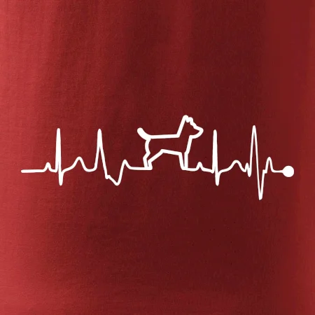 Ekg psí obrys