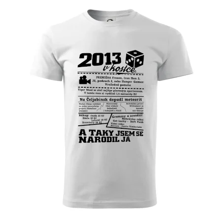 2013 v kostce