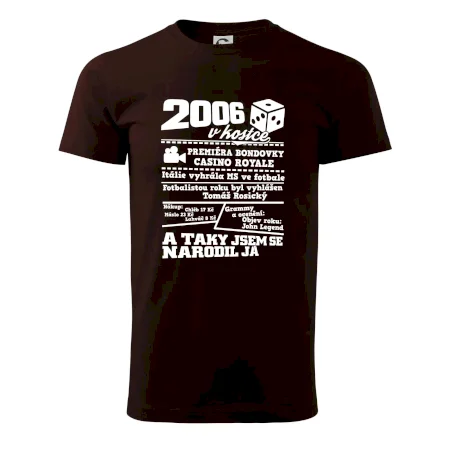 2006 v kostce