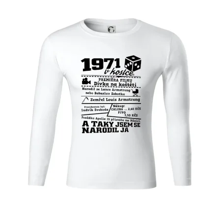 1971 v kostce
