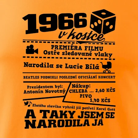 1966 v kostce