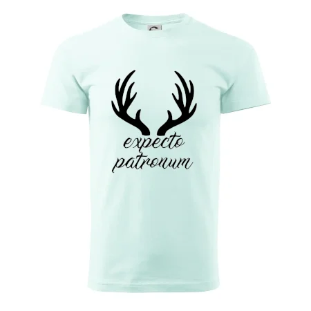 Harry - Expecto patronum