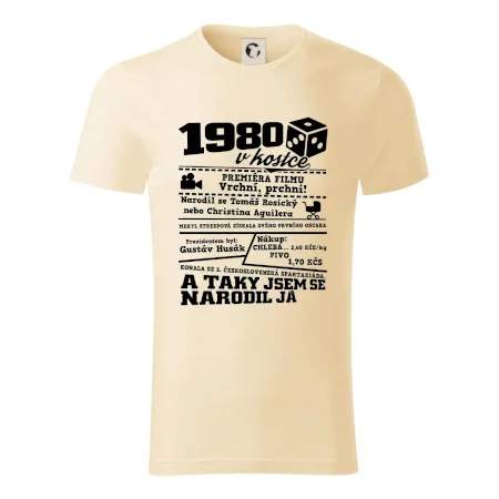 1980 v kostce