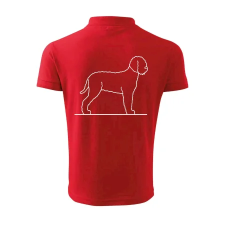 Lagotto romagnolo stojící