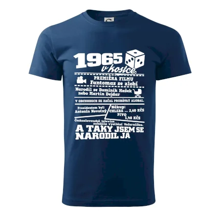 1965 v kostce
