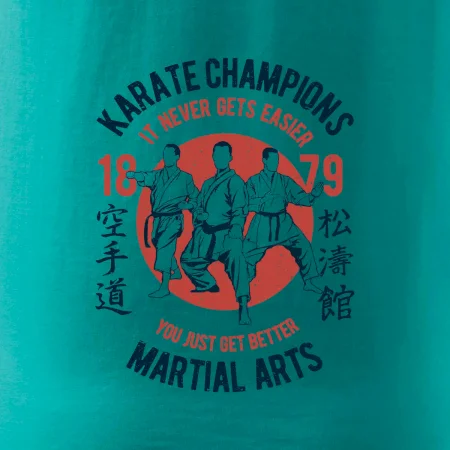 Karate Champions