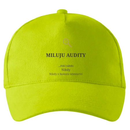 Miluju audity řekl nikdo nikdy