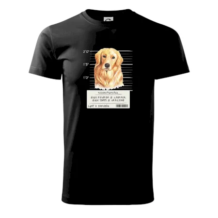 Lump a darebák zlatý retrívr