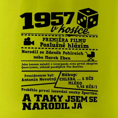 1957 v kostce