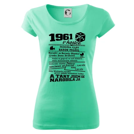 1961 v kostce