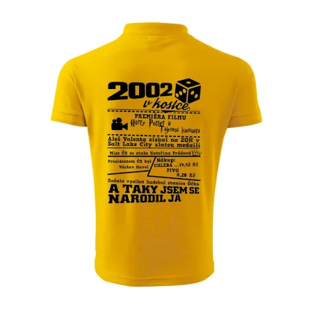 2002 v kostce