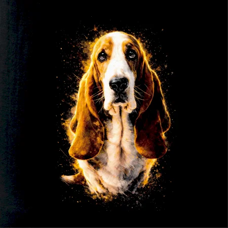 Obrázek polotón Basset sedící