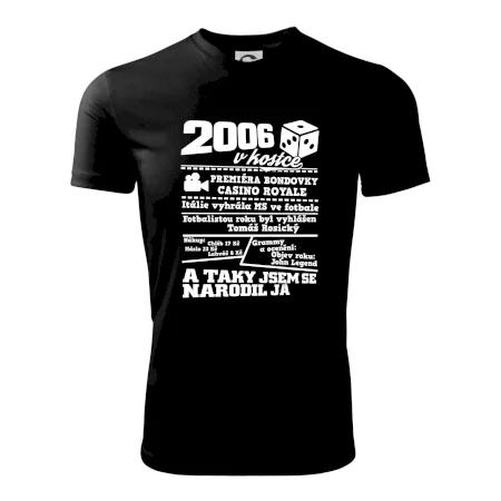 2006 v kostce