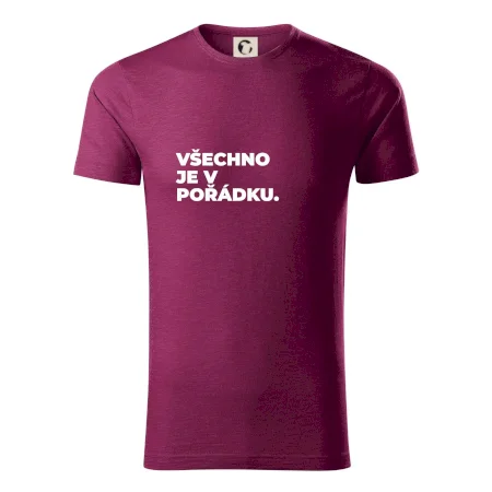 VŠECHNO JE V POŘÁDKU.