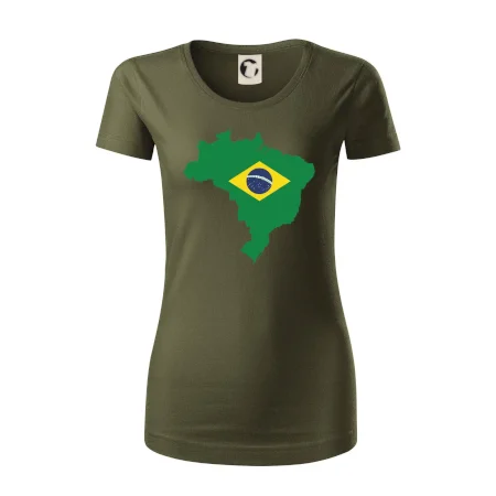 Brazílie vlajka v mapě