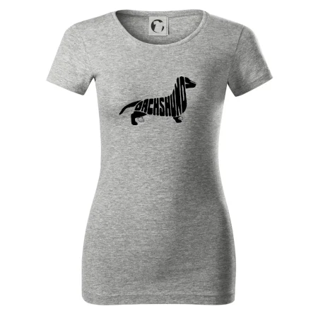 Jezevčík - Dachshund