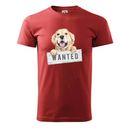 Zlatý retriever - štěně wanted